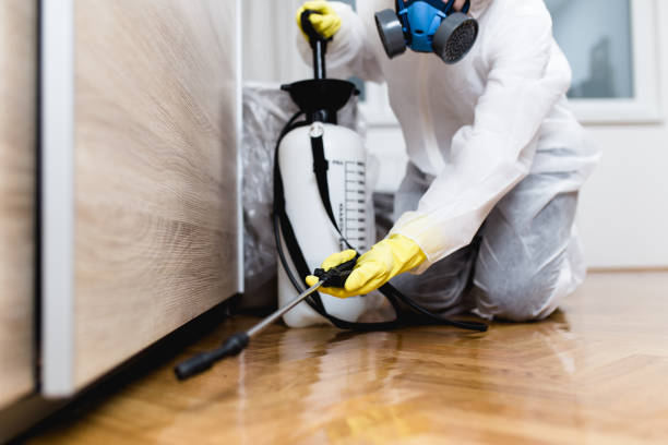 Best Emergency Pest Control  in , TX