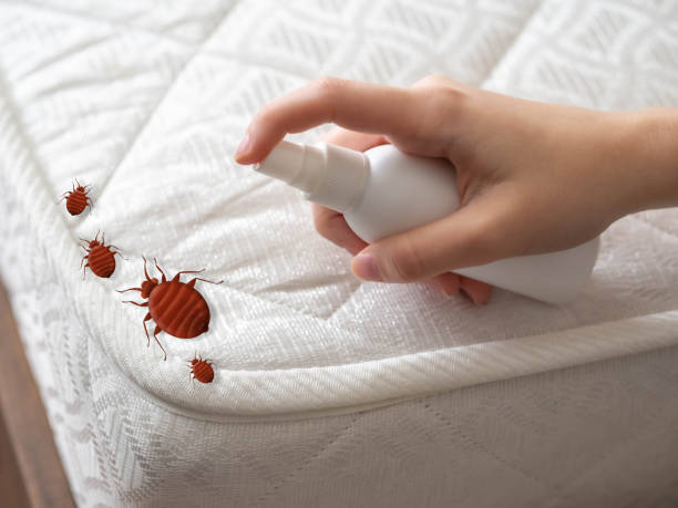 Best Affordable Pest Control Services  in , TX
