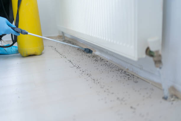 Best Wildlife Control Services  in , TX