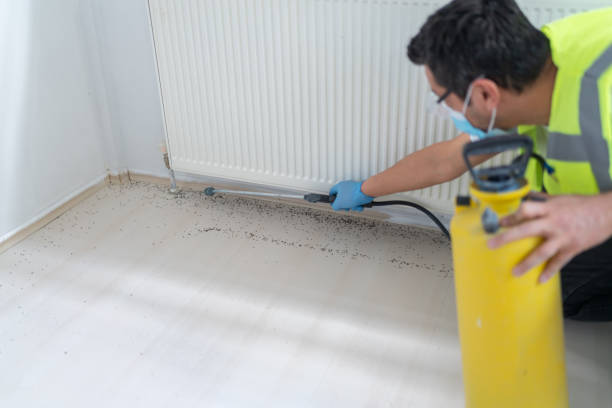 Best Ant Control Services  in , TX