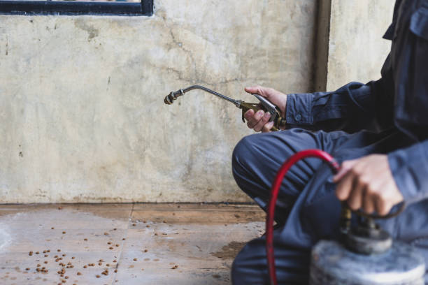 Best Flea Control Services  in , TX