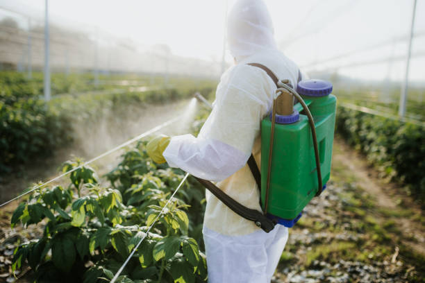  , TX Pest Control Pros